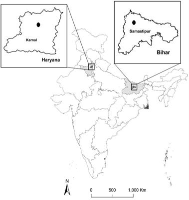 Conservation agriculture enhances crop productivity and soil carbon fractions in Indo-Gangetic Plains of India